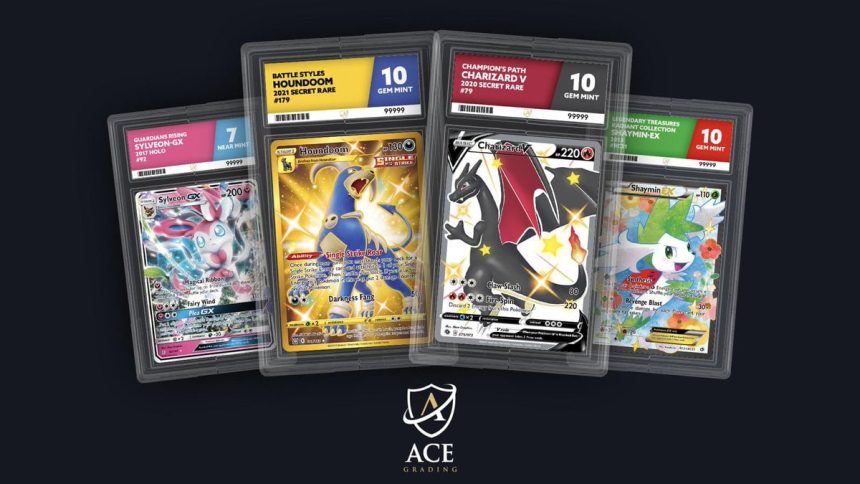 A Comprehensive Guide to ACE Grading Labels